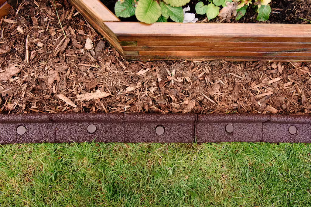 Flexiborder - Braun Flexiborder - Braun